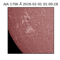 saia - 2026-02-01T01:00:28.717000