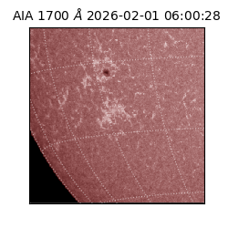 saia - 2026-02-01T06:00:28.720000