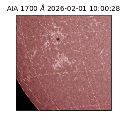 saia - 2026-02-01T10:00:28.717000