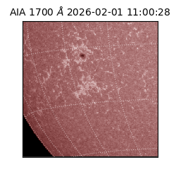saia - 2026-02-01T11:00:28.717000