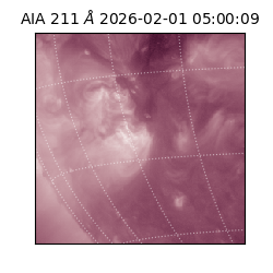 saia - 2026-02-01T05:00:09.630000
