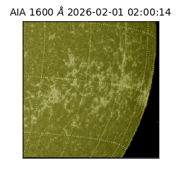 saia - 2026-02-01T02:00:14.126000