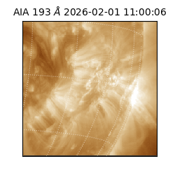 saia - 2026-02-01T11:00:06.614000