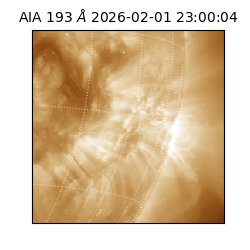 saia - 2026-02-01T23:00:04.843000
