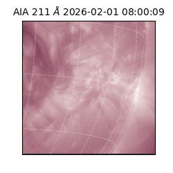 saia - 2026-02-01T08:00:09.618000