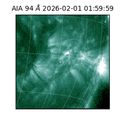 saia - 2026-02-01T01:59:59.141000