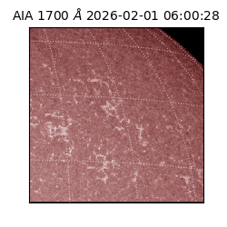 saia - 2026-02-01T06:00:28.720000