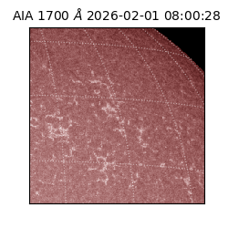 saia - 2026-02-01T08:00:28.710000