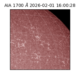 saia - 2026-02-01T16:00:28.717000