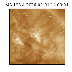 saia - 2026-02-01T14:00:04.843000