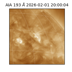saia - 2026-02-01T20:00:04.843000
