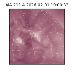saia - 2026-02-01T19:00:33.626000