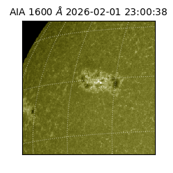 saia - 2026-02-01T23:00:38.126000