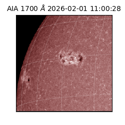 saia - 2026-02-01T11:00:28.717000