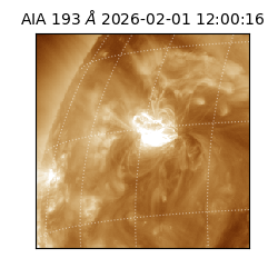 saia - 2026-02-01T12:00:16.835000