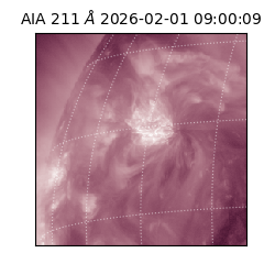 saia - 2026-02-01T09:00:09.626000