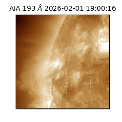 saia - 2026-02-01T19:00:16.843000