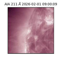 saia - 2026-02-01T09:00:09.626000