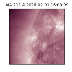 saia - 2026-02-01T16:00:09.619000
