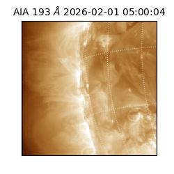 saia - 2026-02-01T05:00:04.843000