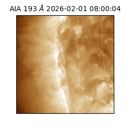 saia - 2026-02-01T08:00:04.835000