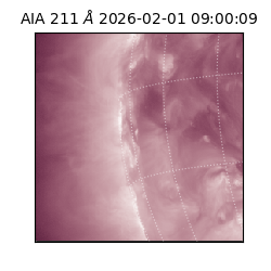 saia - 2026-02-01T09:00:09.626000