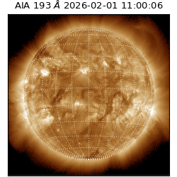 saia - 2026-02-01T11:00:06.614000