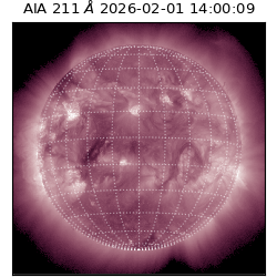 saia - 2026-02-01T14:00:09.625000