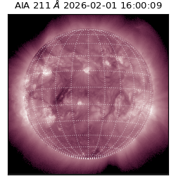 saia - 2026-02-01T16:00:09.619000
