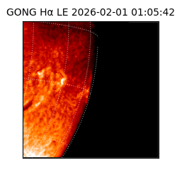 gong - 2026-02-01T01:05:42