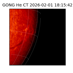 gong - 2026-02-01T18:15:42