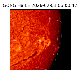 gong - 2026-02-01T06:00:42