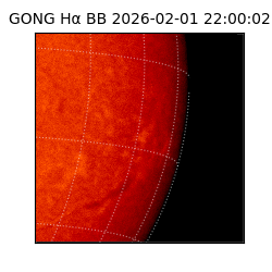 gong - 2026-02-01T22:00:02