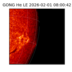 gong - 2026-02-01T08:00:42