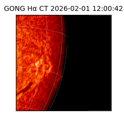 gong - 2026-02-01T12:00:42