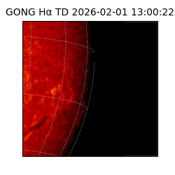 gong - 2026-02-01T13:00:22