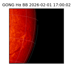 gong - 2026-02-01T17:00:02