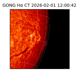 gong - 2026-02-01T12:00:42