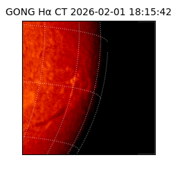 gong - 2026-02-01T18:15:42