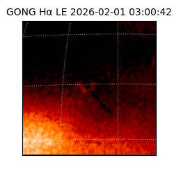 gong - 2026-02-01T03:00:42