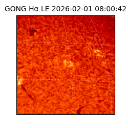 gong - 2026-02-01T08:00:42