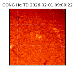 gong - 2026-02-01T09:00:22