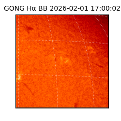 gong - 2026-02-01T17:00:02