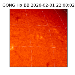 gong - 2026-02-01T22:00:02