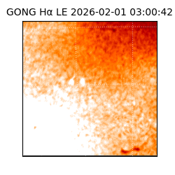 gong - 2026-02-01T03:00:42