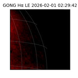 gong - 2026-02-01T02:29:42