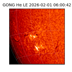 gong - 2026-02-01T06:00:42