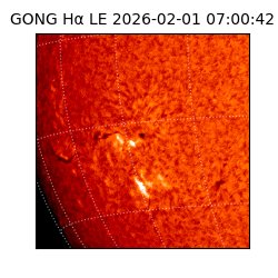 gong - 2026-02-01T07:00:42