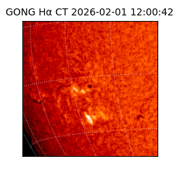 gong - 2026-02-01T12:00:42