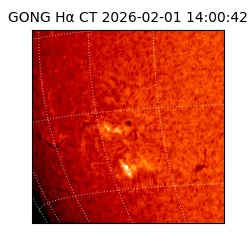 gong - 2026-02-01T14:00:42